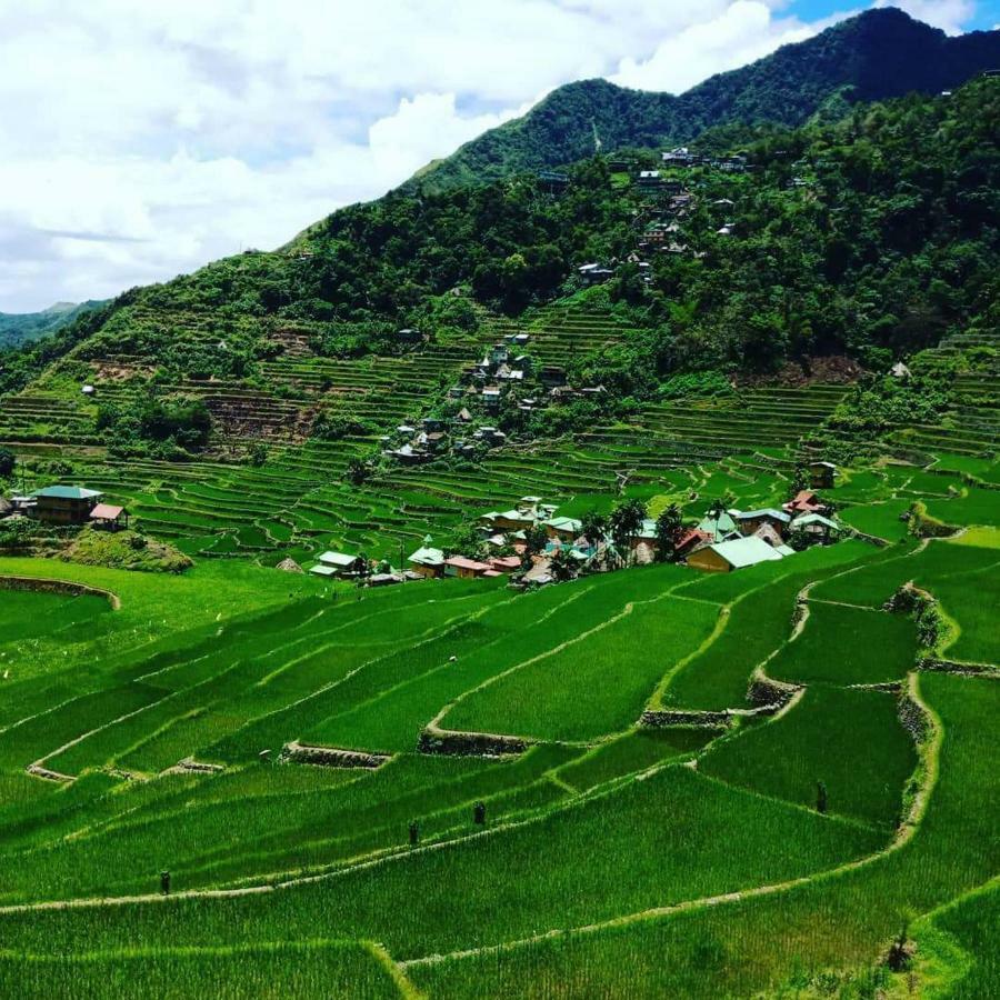 Batad Rita'S Mount View Inn And Restaurant Banaue Buitenkant foto